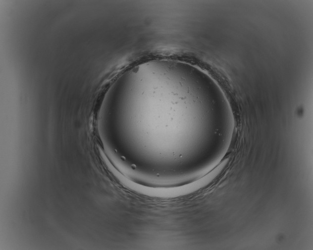 X0000094811349200711241436