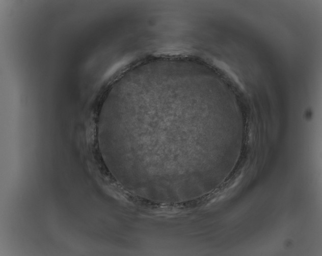 X0000094811350200711241436