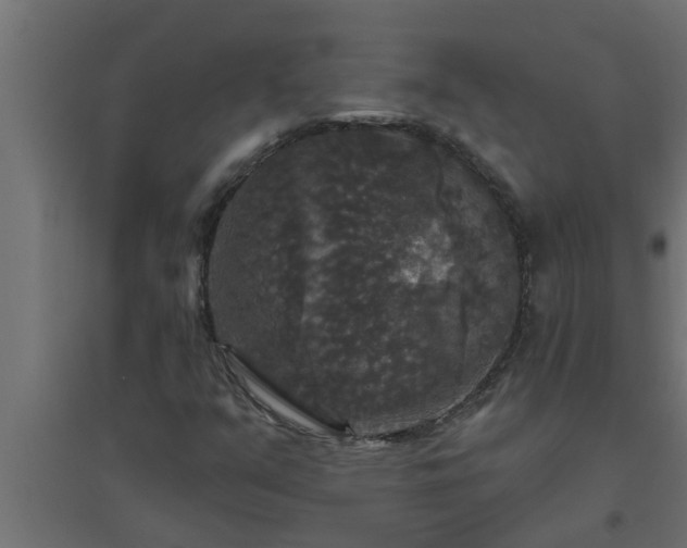 X0000094811351200711241436