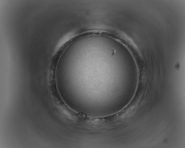 X0000094811352200711241436