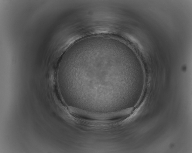 X0000094811353200711241436