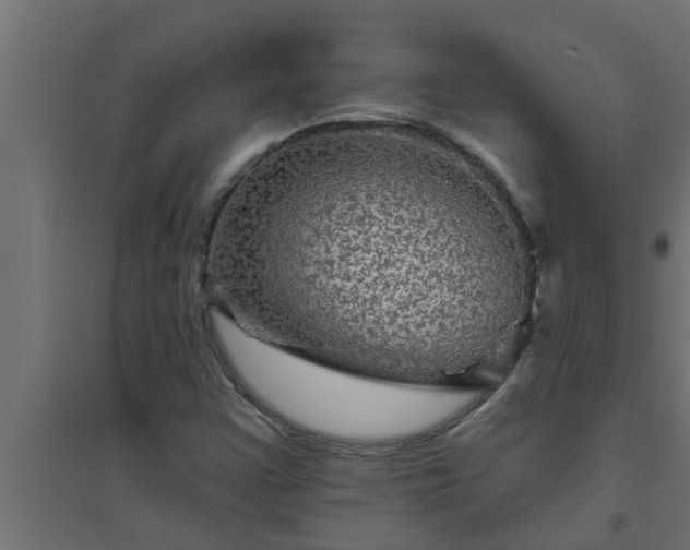 X0000094811355200711241436