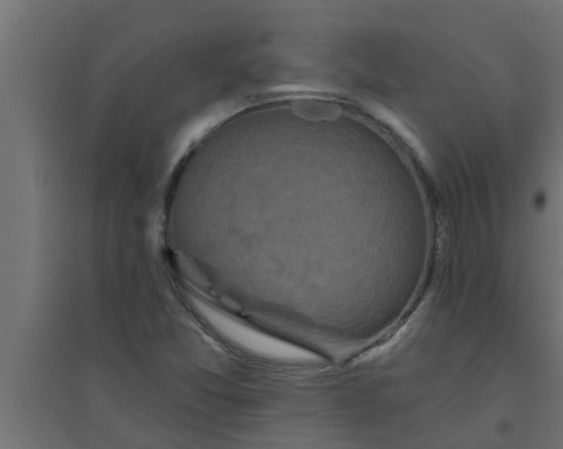 X0000094811357200711241436