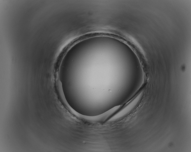 X0000094811360200711241436