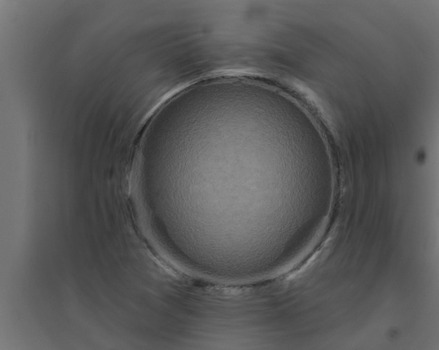 X0000094811361200711241436