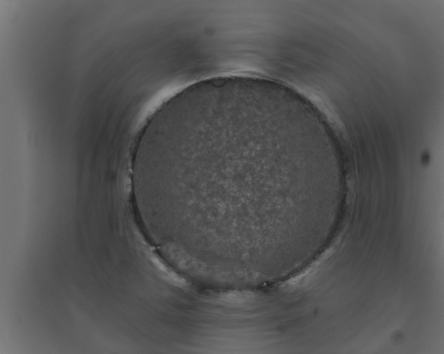 X0000094811363200711241436