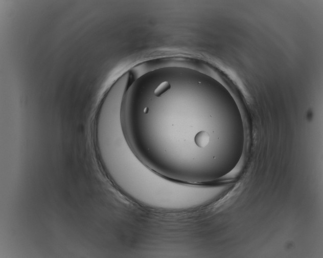 X0000094811365200711241436