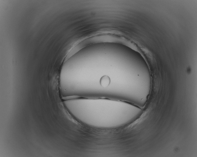 X0000094811369200711241436