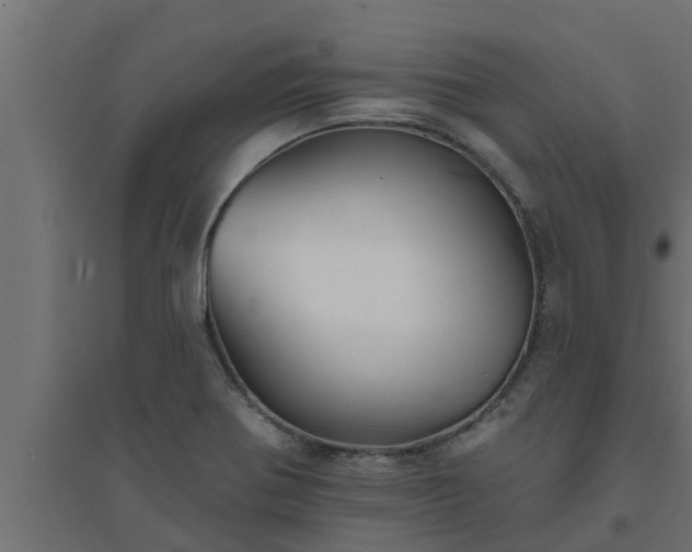 X0000094811370200711241436