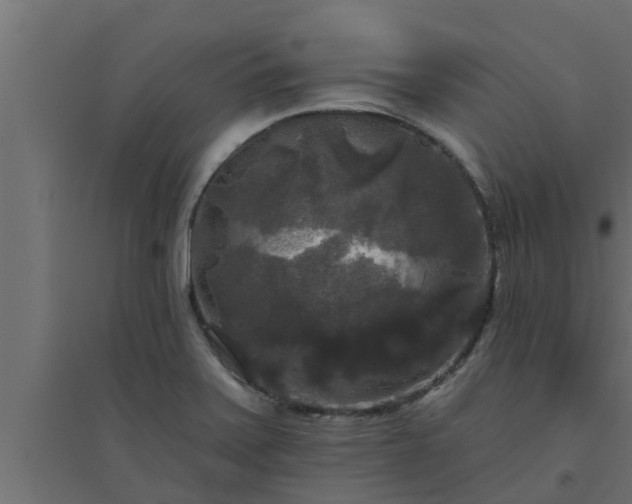 X0000094811371200711241436