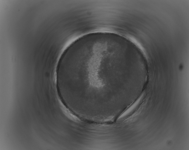 X0000094811372200711241436