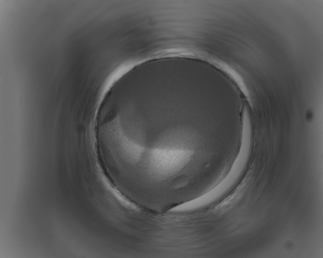 X0000094811373200711241436