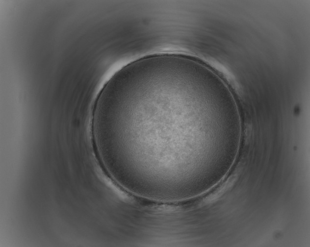 X0000094811374200711241436