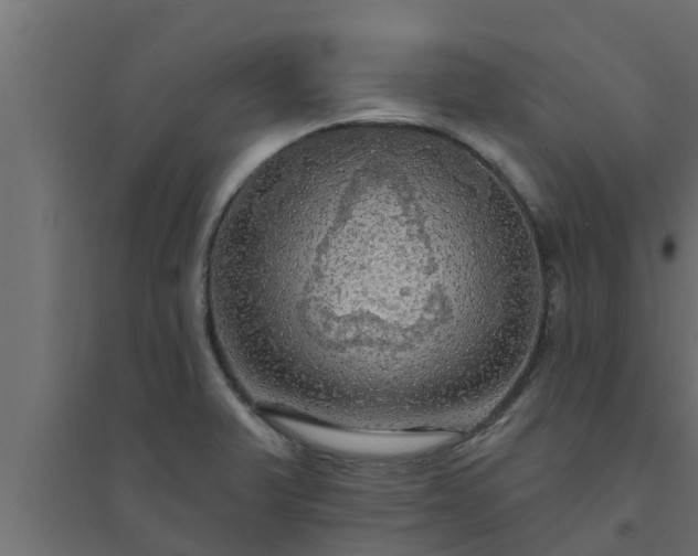 X0000094811375200711241436