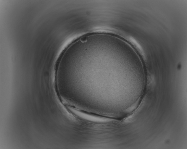 X0000094811376200711241436