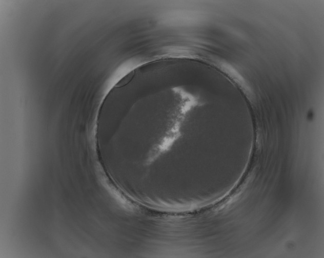 X0000094811378200711241436