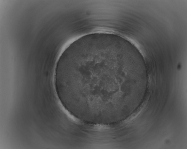 X0000094811379200711241436