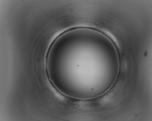 X0000094811380200711241436