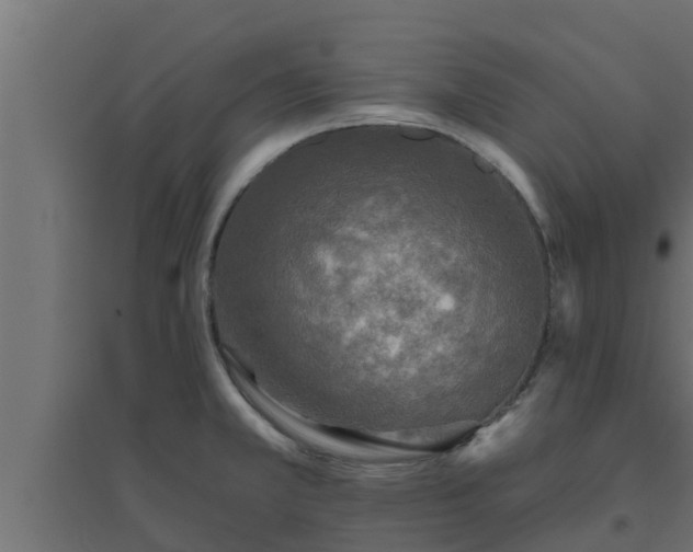 X0000094811381200711241436