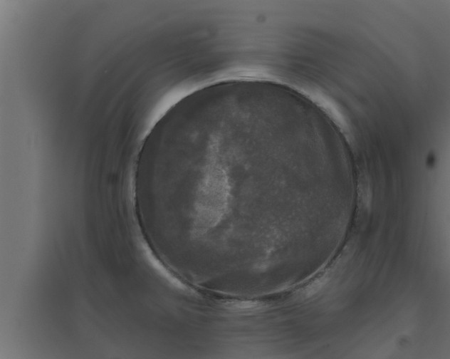 X0000094811382200711241436