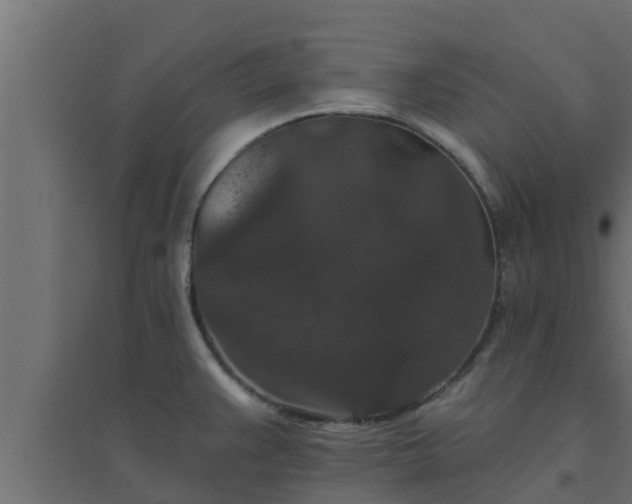 X0000094811383200711241436