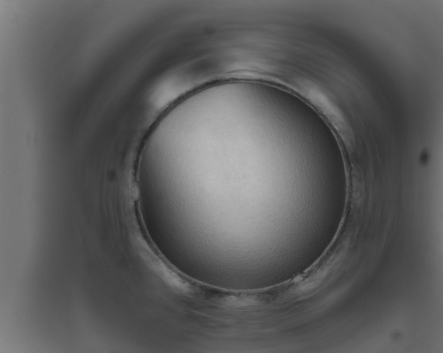 X0000094811384200711241436