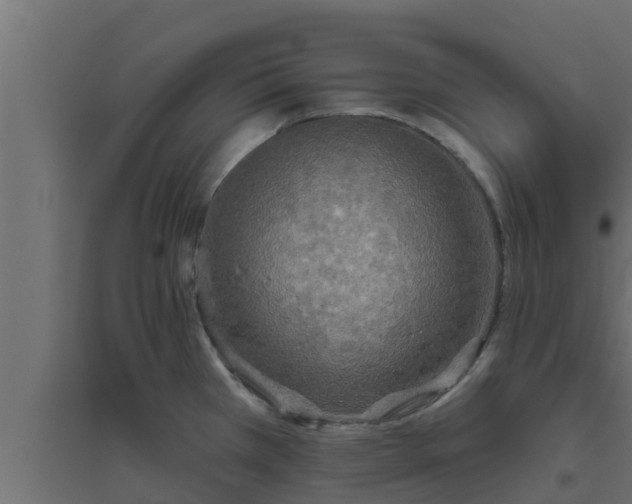 X0000094811385200711241436