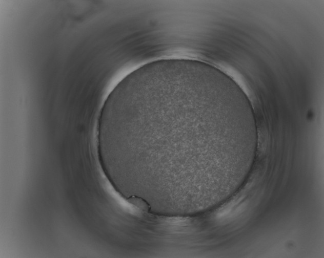 X0000094811387200711241436