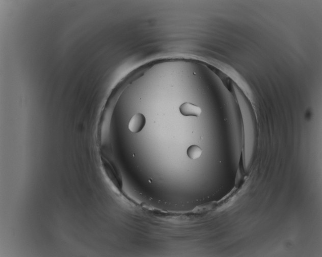 X0000094811388200711241436