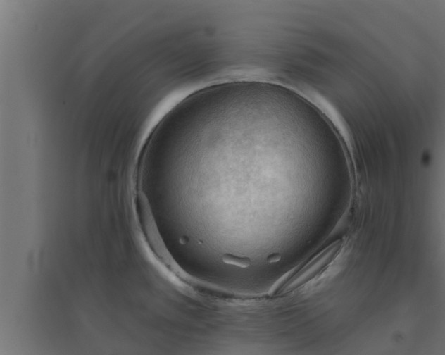 X0000094811389200711241436