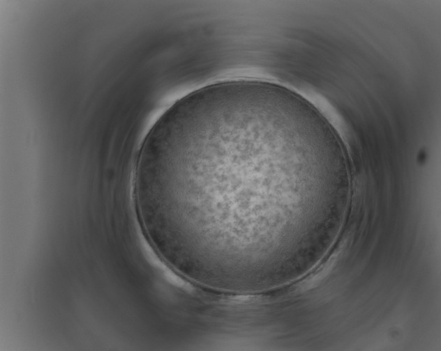 X0000094811390200711241436