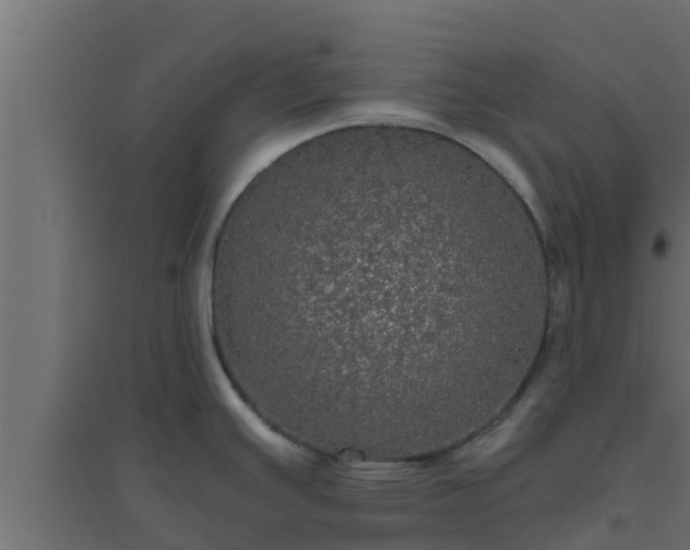 X0000094811391200711241436