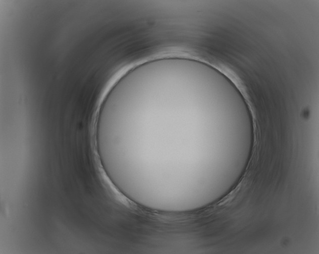 X0000094811392200711241436