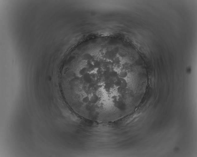 X0000094811393200711241435