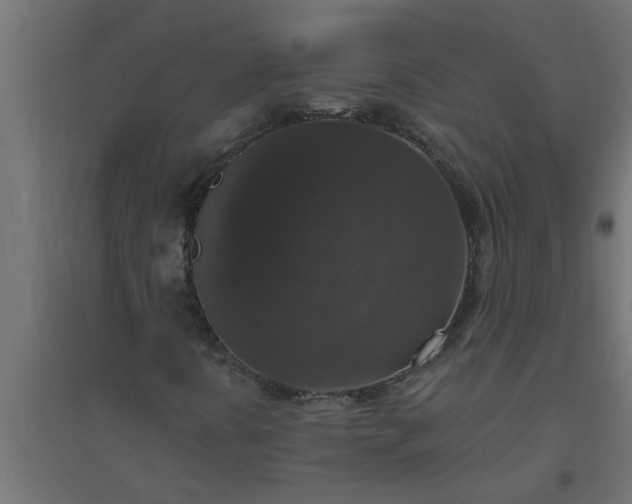 X0000094811394200711241435