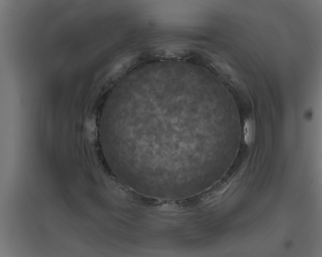 X0000094811395200711241435