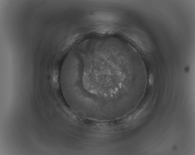 X0000094811396200711241435