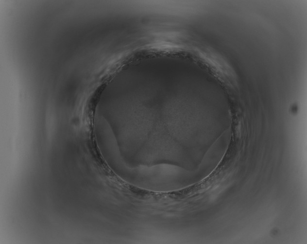 X0000094811397200711241435