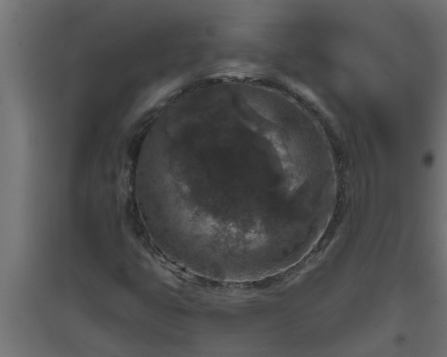 X0000094811399200711241435