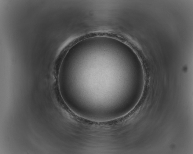 X0000094811400200711241435