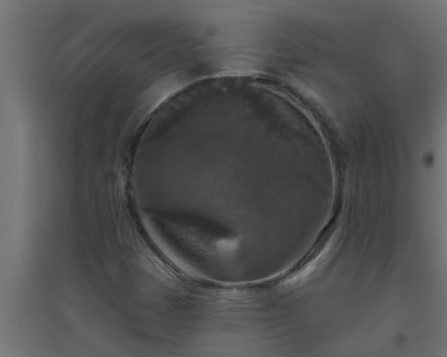 X0000094811401200711241435