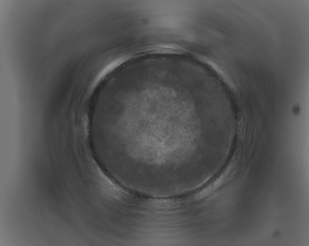 X0000094811402200711241435