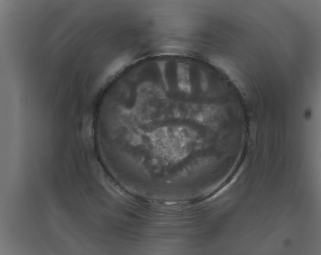 X0000094811403200711241435