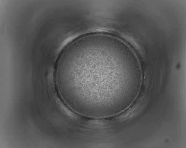 X0000094811404200711241435