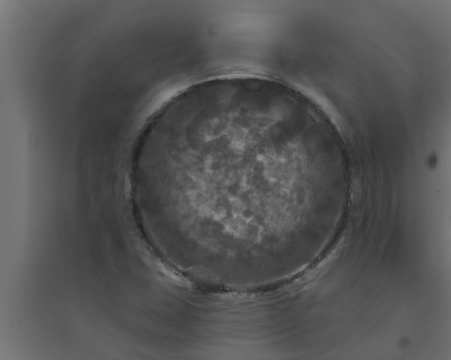 X0000094811407200711241435