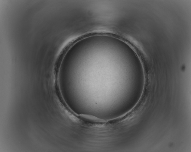 X0000094811408200711241435