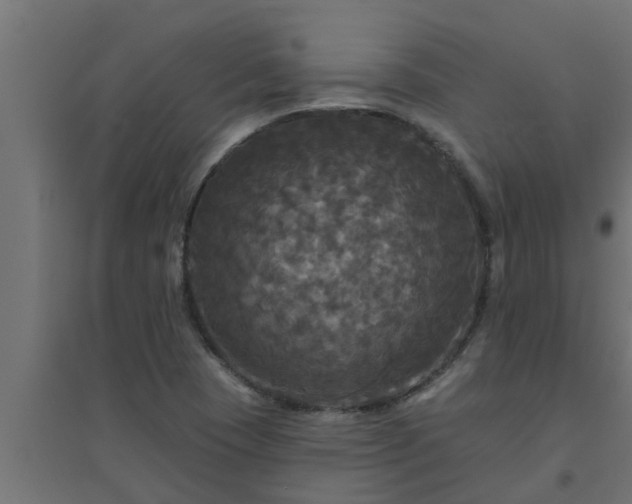 X0000094811409200711241435