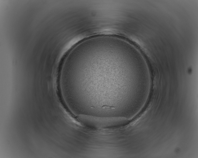 X0000094811410200711241435