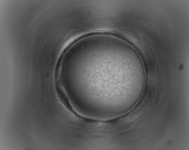 X0000094811412200711241435