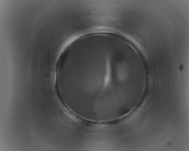 X0000094811413200711241435